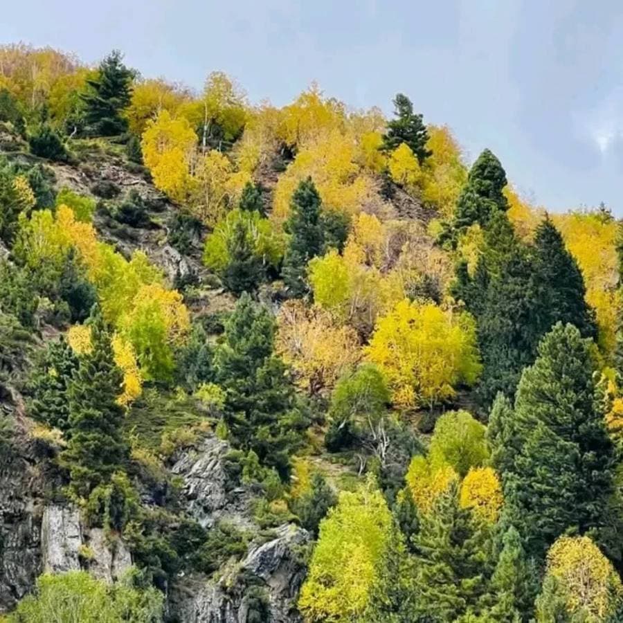 Golden autumn valley